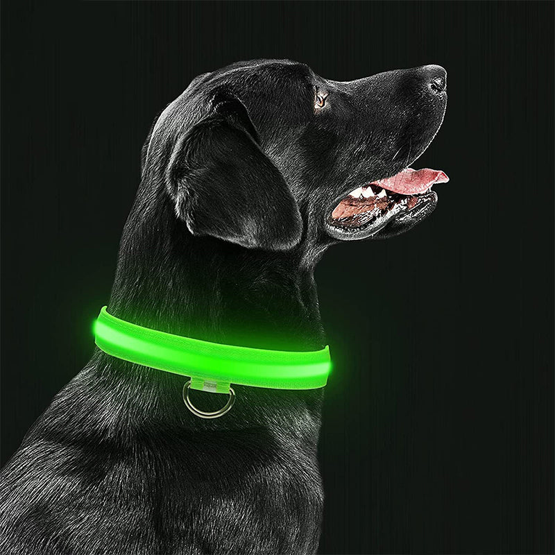 Luminous LED Dog Collar – Bright & Stylish Nighttime Safety