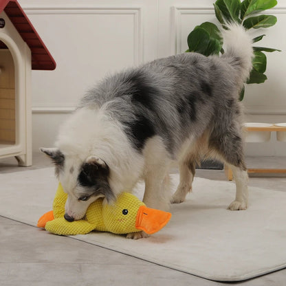 Flappy | Interactive Duck Sound Chew Toy – Durable & Engaging Design