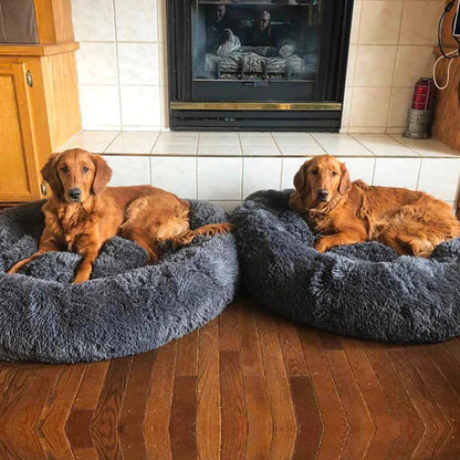 CozyCalm Dog Bed – Orthopedic Support & Chew-Resistant Durability