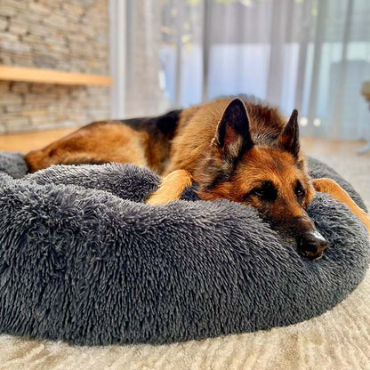 CozyCalm Dog Bed – Orthopedic Support & Chew-Resistant Durability