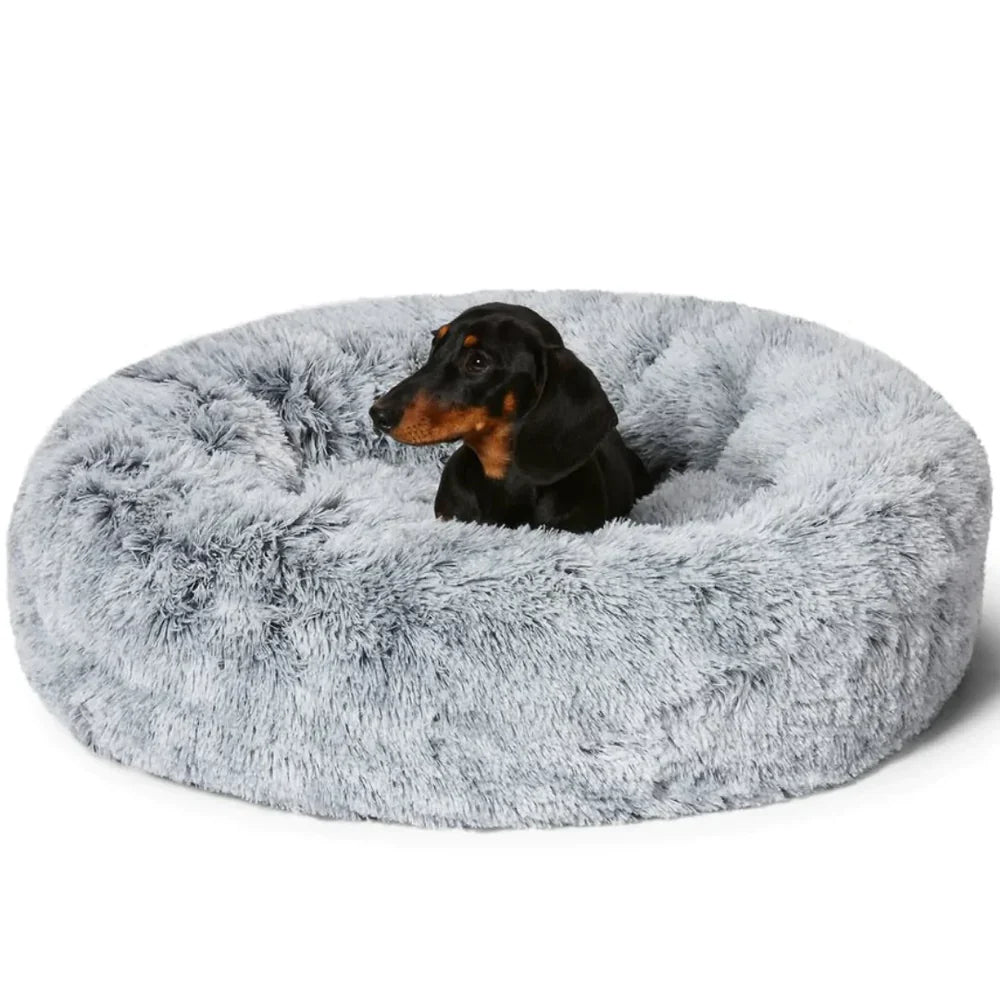 CozyCalm Dog Bed – Orthopedic Support & Chew-Resistant Durability