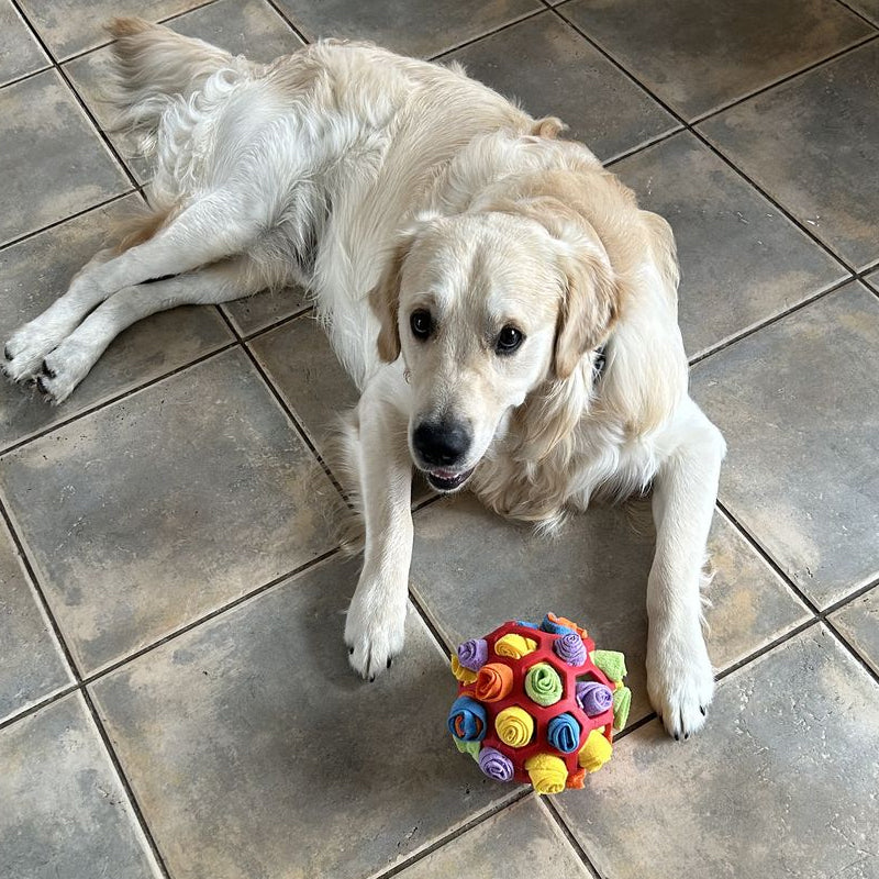 Sniffle Ball – Interactive Treat Toy for Happy Dogs