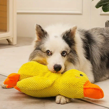 Flappy | Interactive Duck Sound Chew Toy – Durable & Engaging Design