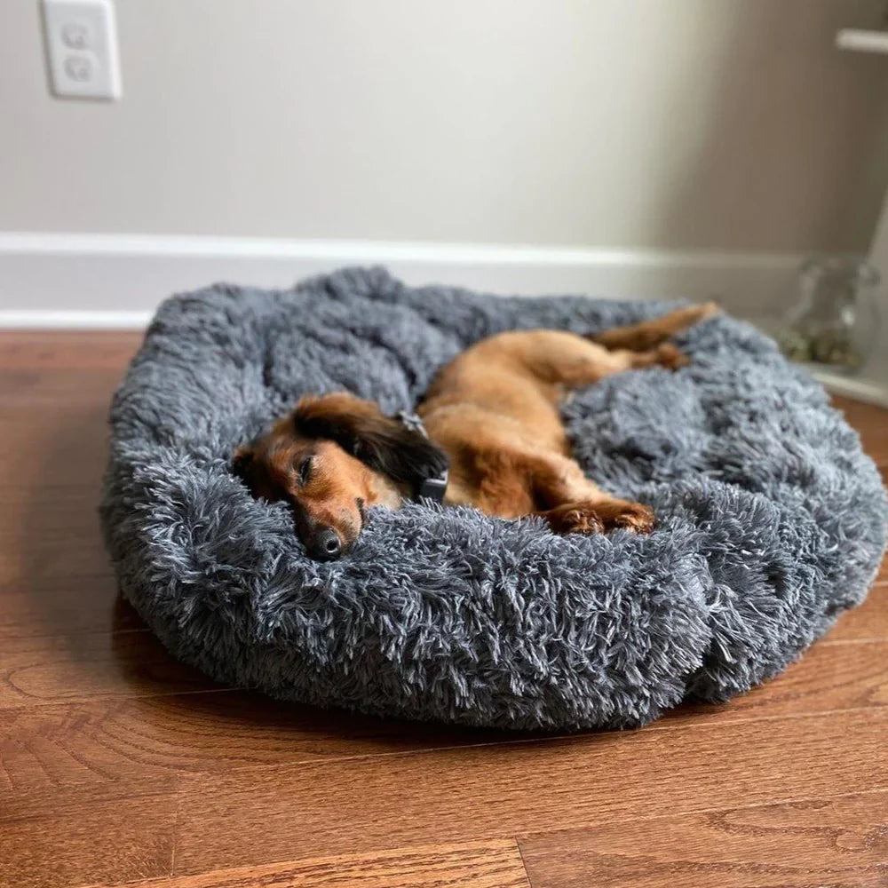 CozyCalm Dog Bed – Orthopedic Support & Chew-Resistant Durability