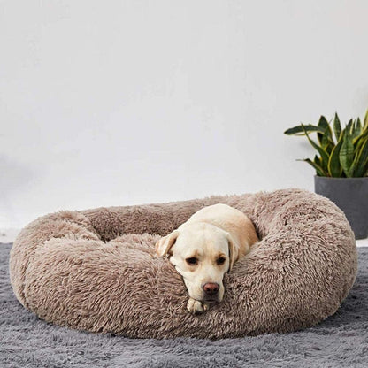 CozyCalm Dog Bed – Orthopedic Support & Chew-Resistant Durability