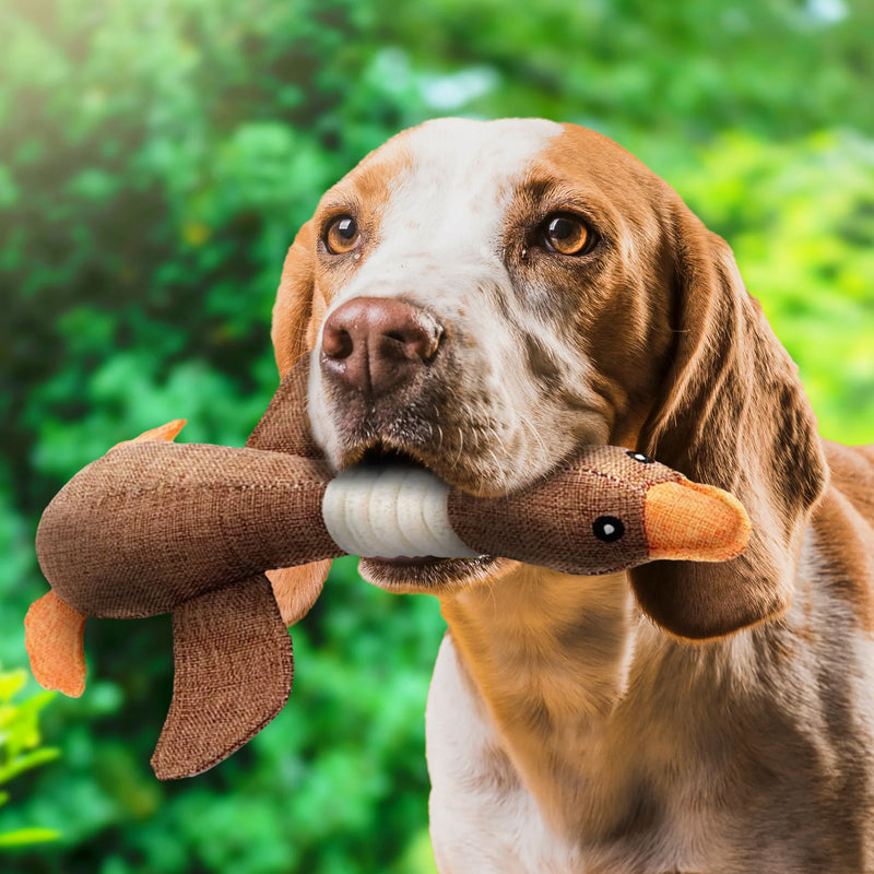 UnbreakaGoose – Indestructible & Eco-Friendly Dog Toy