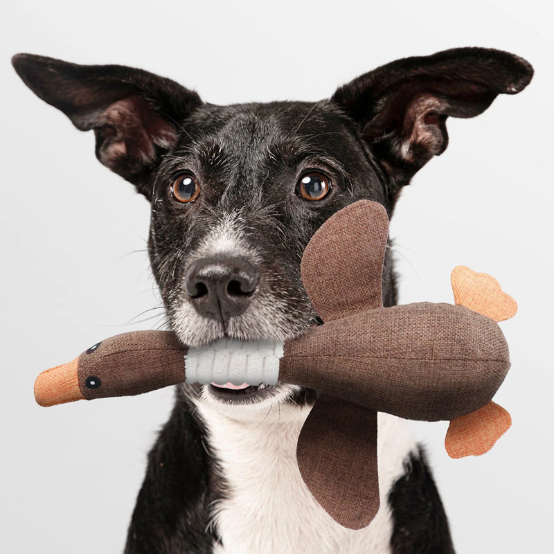 UnbreakaGoose – Indestructible & Eco-Friendly Dog Toy