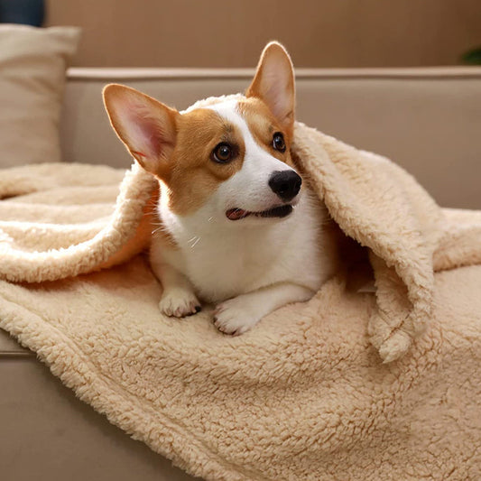 FluffyFleece Blanket – Ultra-Soft & Cozy Comfort for Your Furry Friend