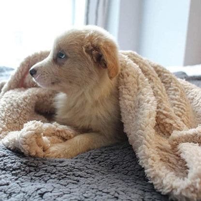 FluffyFleece Blanket – Ultra-Soft & Cozy Comfort for Your Furry Friend