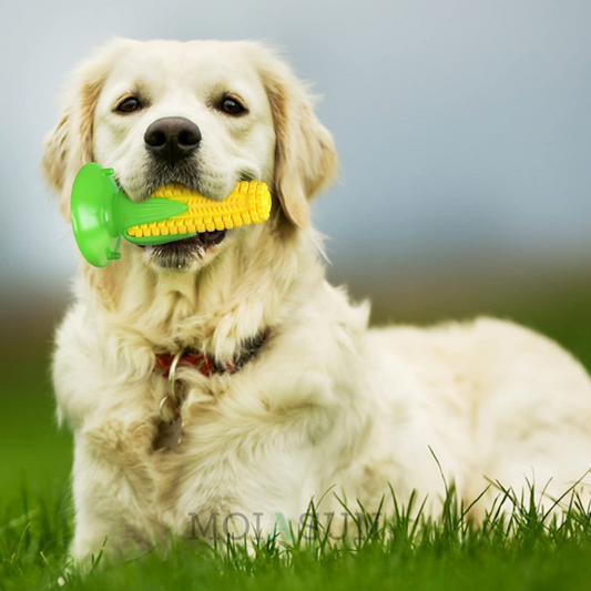 ToughBite Corn – Durable, Dental-Friendly & Stress-Relieving Chew Toy