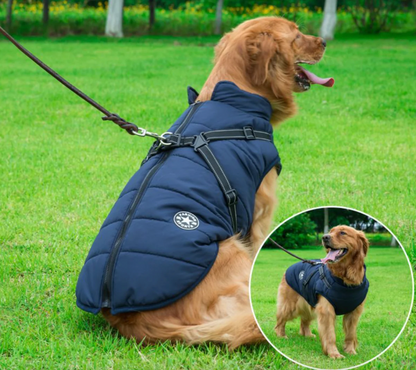 Fido's Cozy Vest – Waterproof, Insulated & Built-in Harness Design