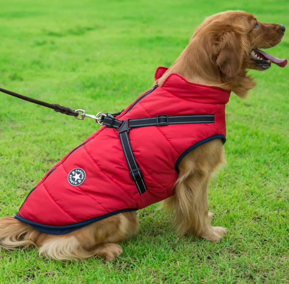 Fido's Cozy Vest – Waterproof, Insulated & Built-in Harness Design