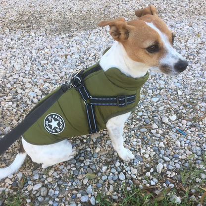 Fido's Cozy Vest – Waterproof, Insulated & Built-in Harness Design