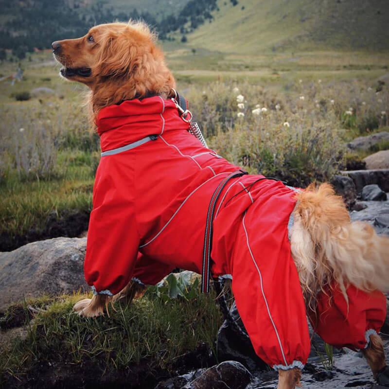 PawShield | Stylish Dog Raincoat – Windproof, Waterproof & Cozy Design