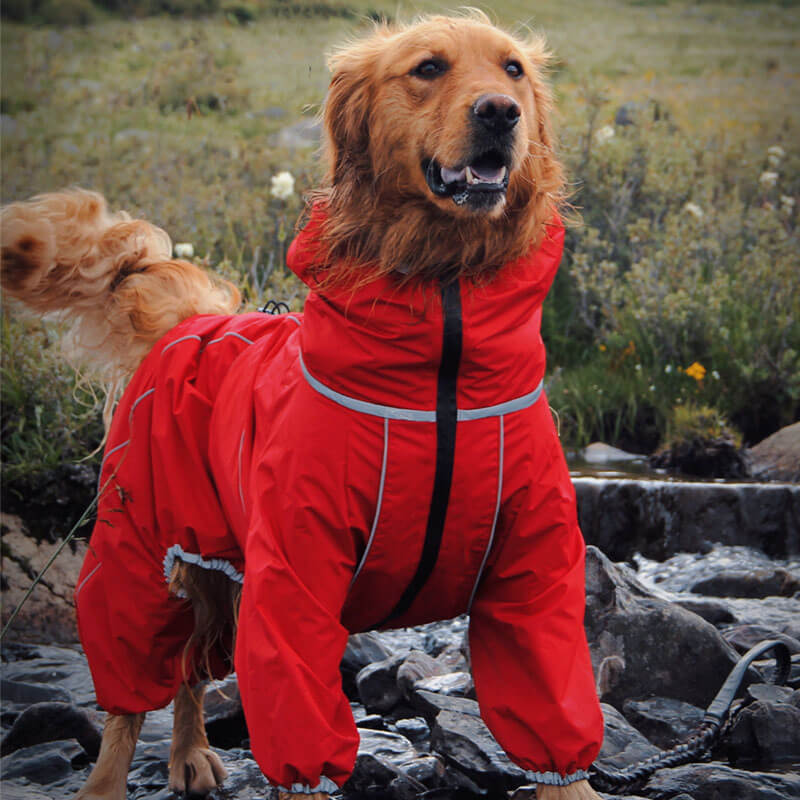 PawShield | Stylish Dog Raincoat – Windproof, Waterproof & Cozy Design