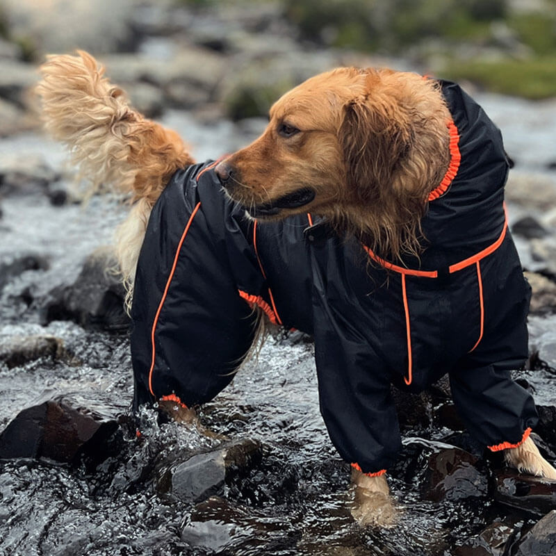 PawShield | Stylish Dog Raincoat – Windproof, Waterproof & Cozy Design