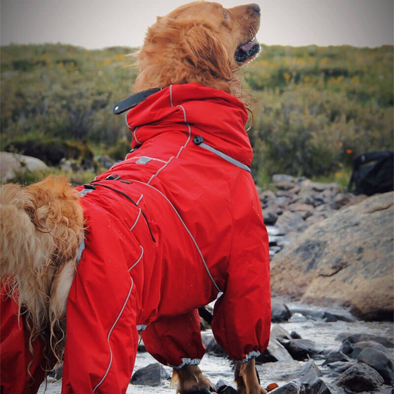 PawShield | Stylish Dog Raincoat – Windproof, Waterproof & Cozy Design