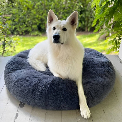 CozyCalm Dog Bed – Orthopedic Support & Chew-Resistant Durability