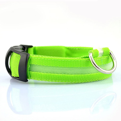 Luminous LED Dog Collar – Bright & Stylish Nighttime Safety