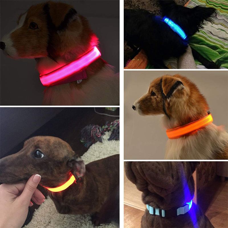 Luminous LED Dog Collar – Bright & Stylish Nighttime Safety