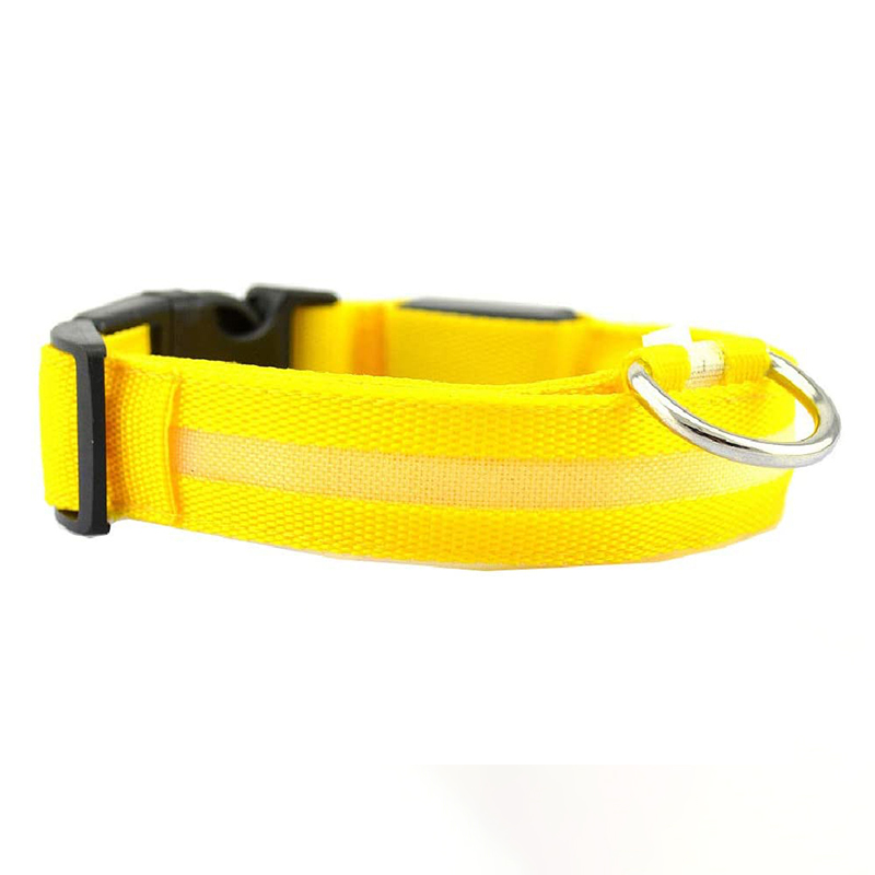 Luminous LED Dog Collar – Bright & Stylish Nighttime Safety